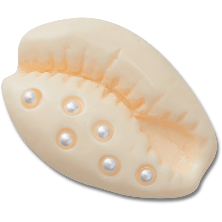 Crocs Pearl Puka Shell Jibbitz™ charms