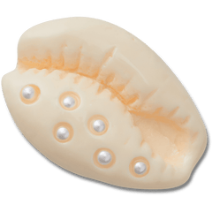 Crocs Pearl Puka Shell Jibbitz™ charms