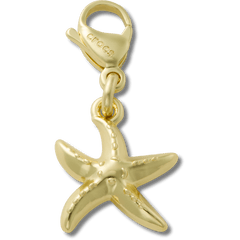 Crocs Gold Starfish Charm Jibbitz charm