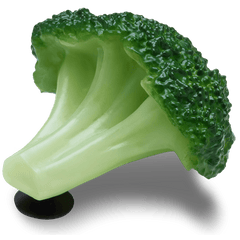 Crocs Realistic Broccoli Jibbitz™ charms