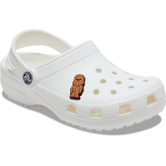 Crocs Star Wars Chewbacca Jibbitz™ charms