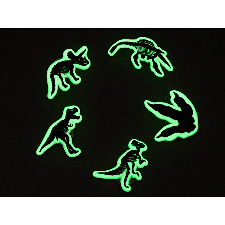 Crocs Glow In The Dark Dino 5 Pack Jibbitz Shoe Charm