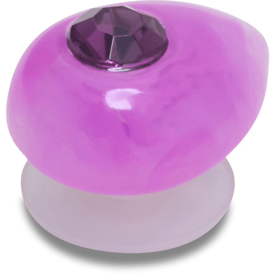 Crocs Amethyst February Birthstone Collection Jibbitz™ charms