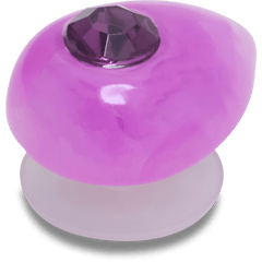 Crocs Amethyst February Birthstone Collection Jibbitz™ charms