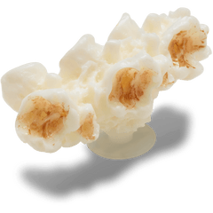 Crocs Realistic Popcorn 2 Jibbitz™ charms
