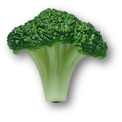 Crocs Realistic Broccoli Jibbitz™ charms