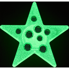 Crocs Green Gem Star Jibbitz™ charms
